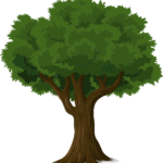 tree-576847_1280